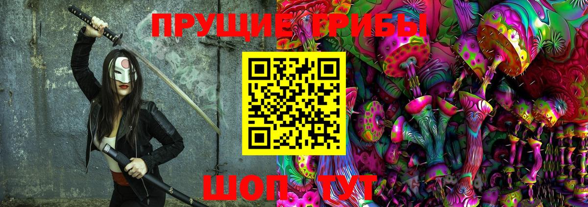 Галлюциногенные грибы Cubensis  Вход с VPN  Серов 